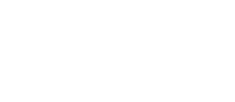 Logo DICON